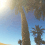 48fa978833902a499a43965bb7da11b358405074.gif