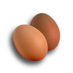 eggs-icon.png