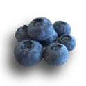 blueberries-icon.png