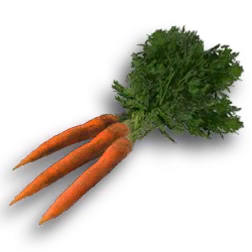 carrots-icon.png