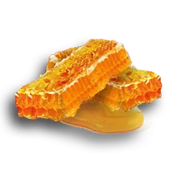 honey-icon.png