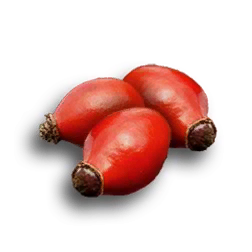 rosehip_berries-icon.png