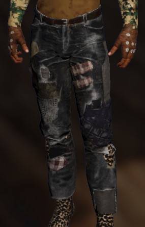 pants2a1.jpg