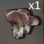 mushroom.jpg